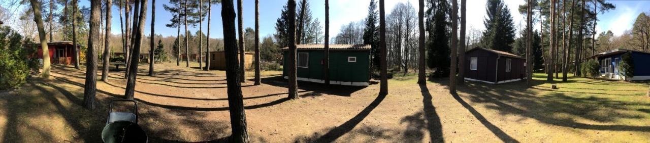 Gast-& Logierhaus Am Rheinsberger * Rheinsberg