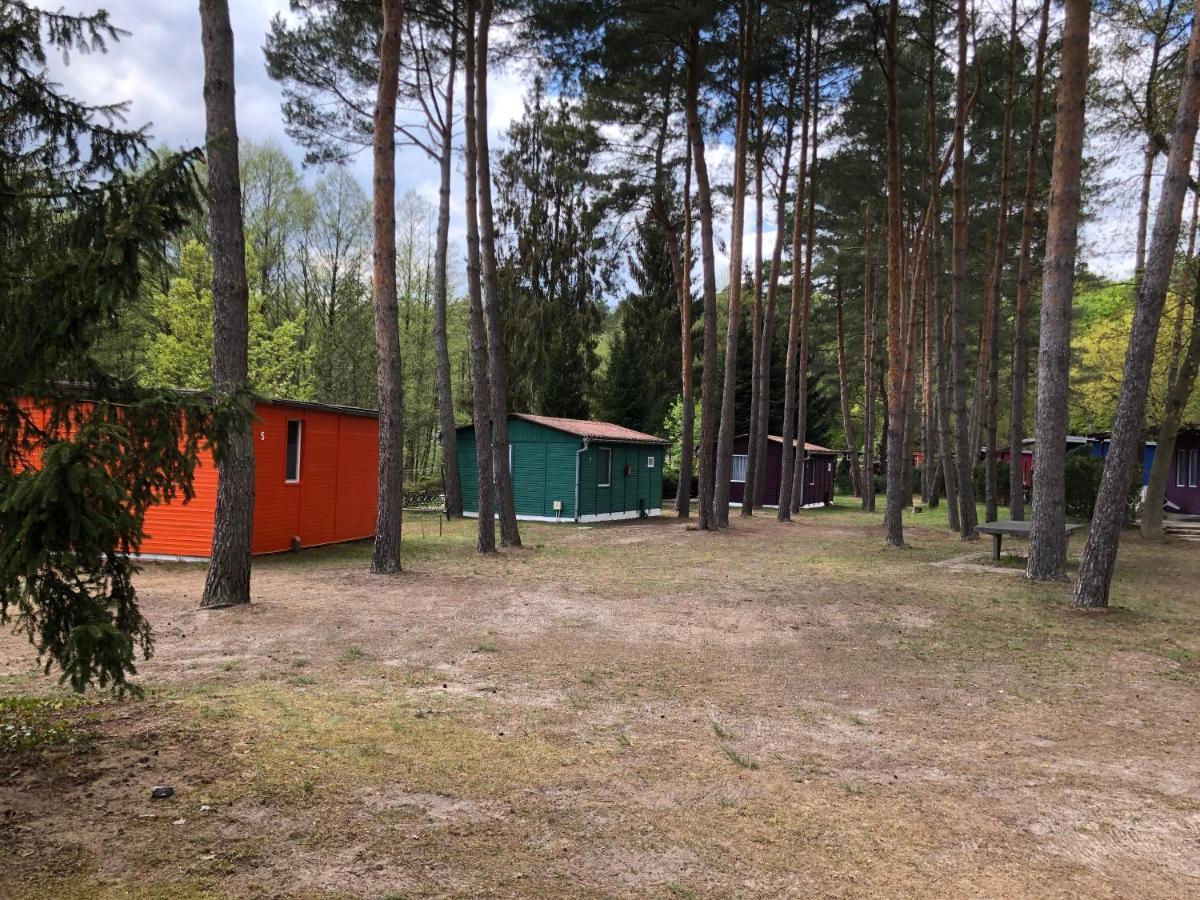 Gast-& Logierhaus Am Rheinsberger * Rheinsberg