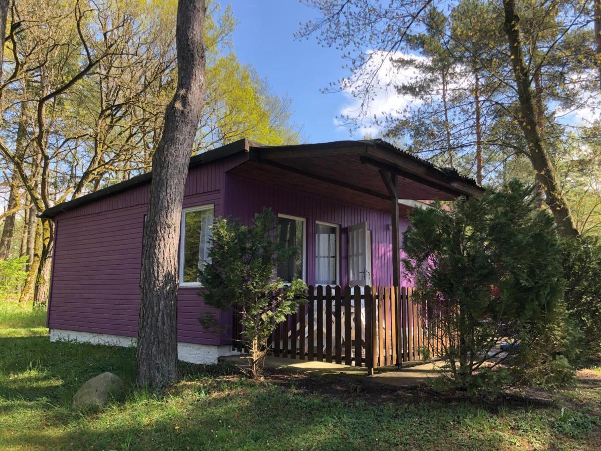 Pensjonat Gast-& Logierhaus Am Rheinsberger Rheinsberg