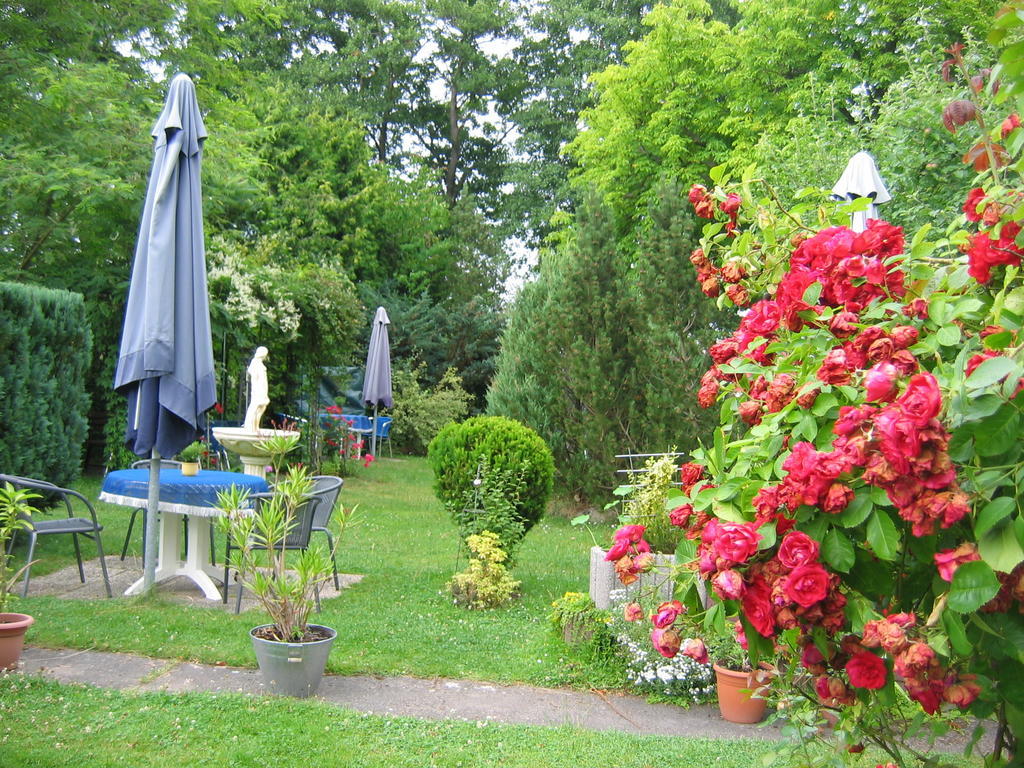 Pensjonat Gast-& Logierhaus Am Rheinsberger